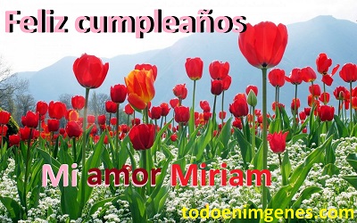 Imágenes lindas de feliz cumpleaños mi amor miriam