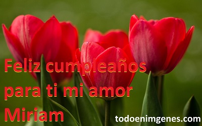 Imágenes lindas de feliz cumpleaños mi amor miriam