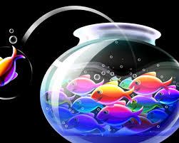 Imágenes - lindas - para - fondo - de - pantalla 8