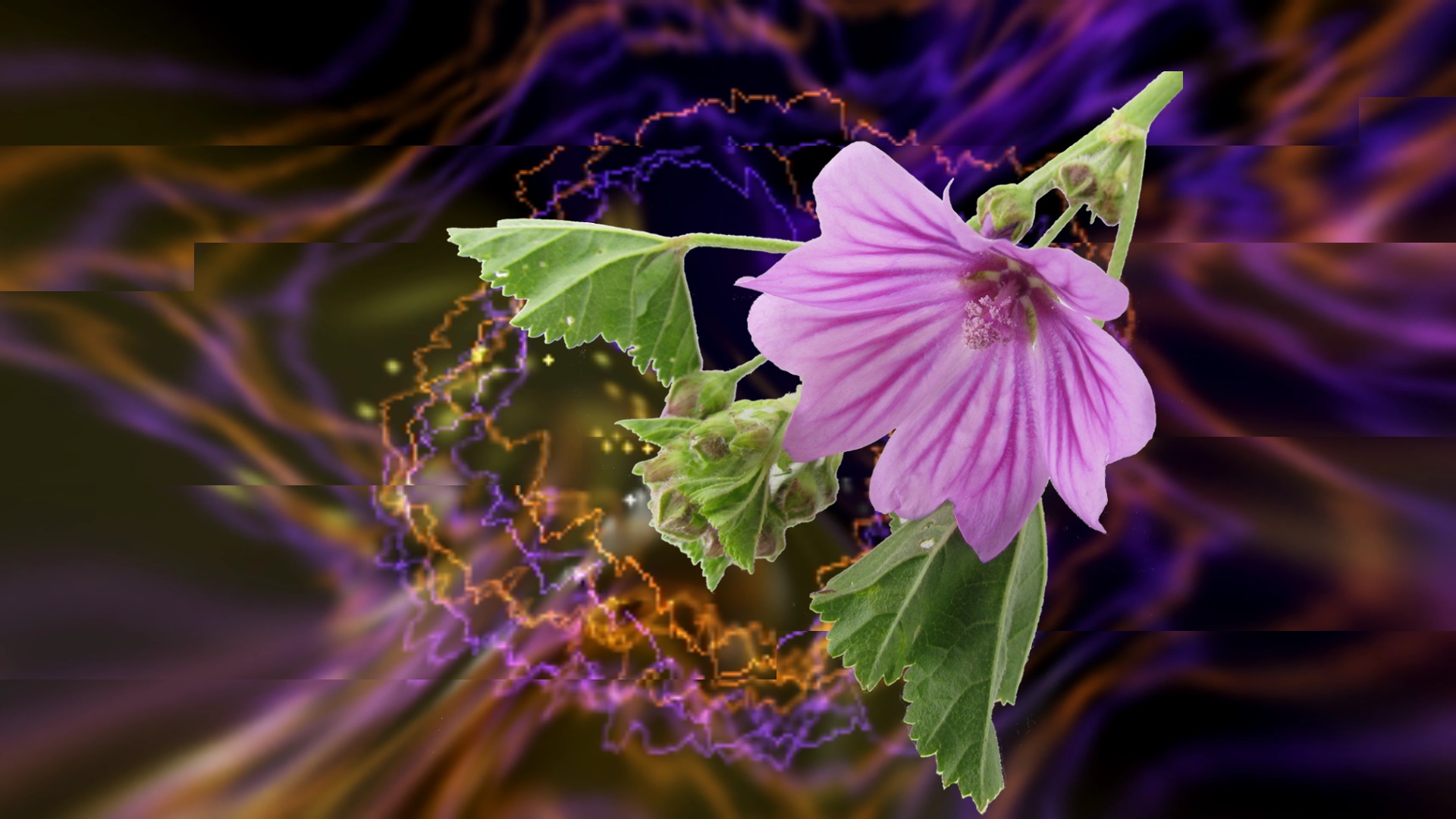 Imágenes - lindas - para - fondo - de - pantalla 10