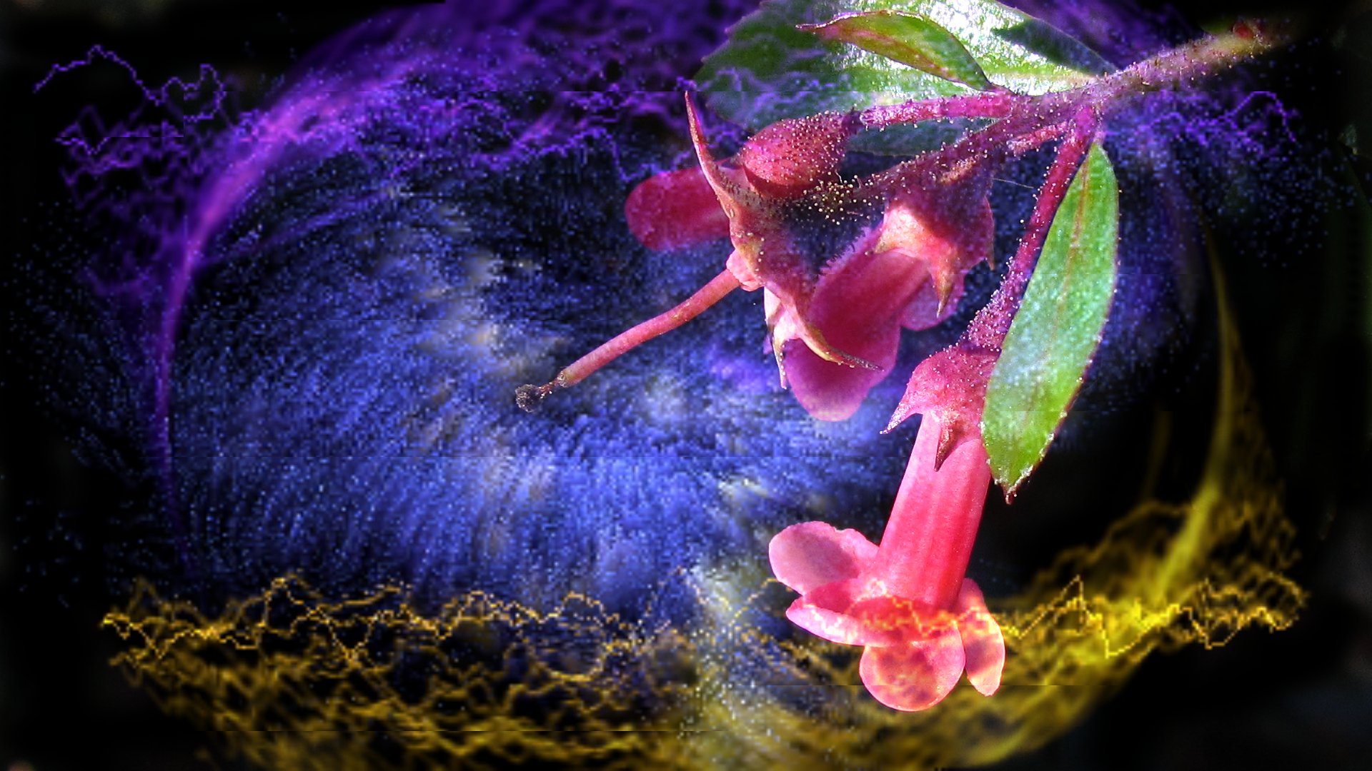 Imágenes - lindas - para - fondo - de - pantalla 11