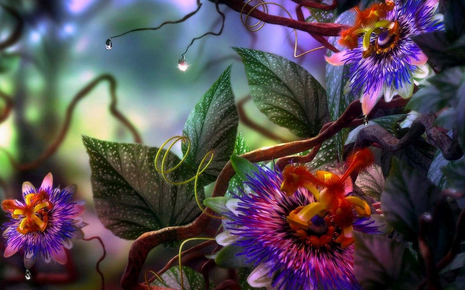 Imágenes - lindas - para - fondo - de - pantalla 9