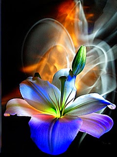 Imágenes - lindas - para - fondo - de - pantalla 6