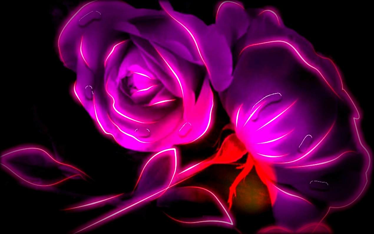 ▷ Imágenes lindas para fondo de pantalla