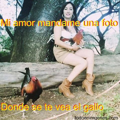 Imágenes mi amor mandame una foto donde se te vea el gallo para descargar