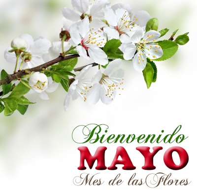 ▷ Imágenes para decir bienvenido mayo