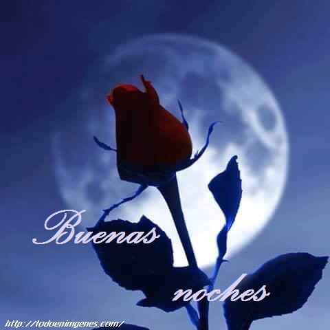 que tengas una linda noche