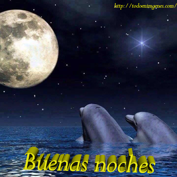 te deseo unas buenas noches.