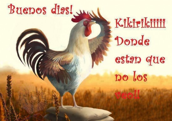 ▷ Imágenes para decir buenos días en facebook