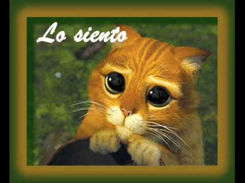 Imágenes - para decir lo siento