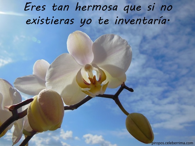 hermosa-inventaria