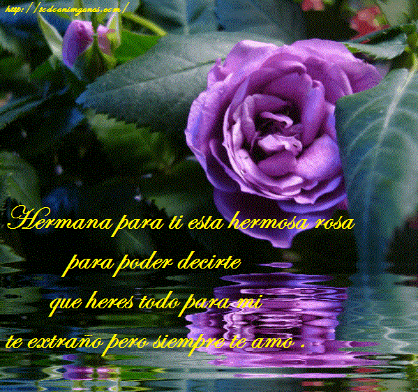 189ab93c5f0a0d036eddec0bedf55816