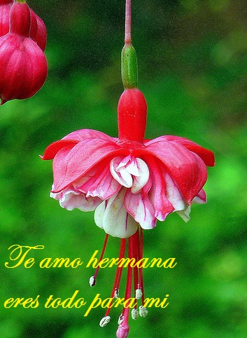 3853517336_ca9ec7e26e