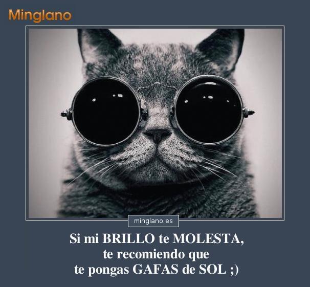 Frases para envidiosas cortas