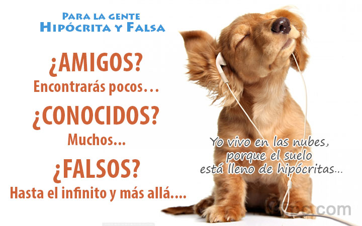 para las amigas hipocfitas 10