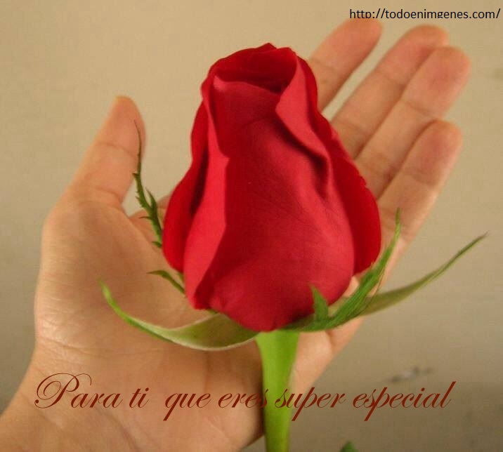 para ti con amor que eres super especial para mi
