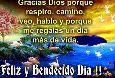 bendecido-dia-imagen