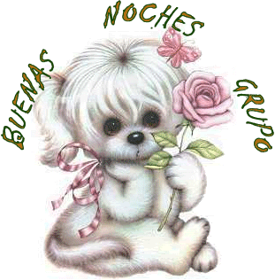 ▷ Imágenes que digan buenas noches grupo