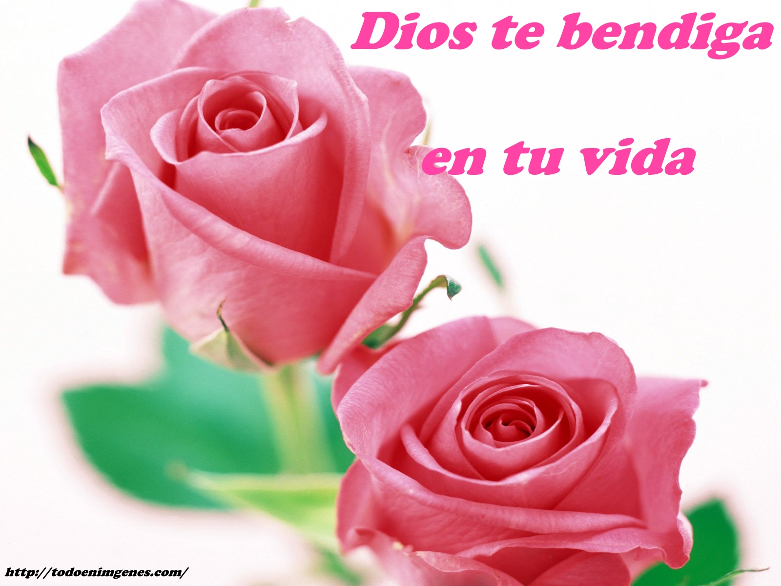 Dios te bendiga en este día