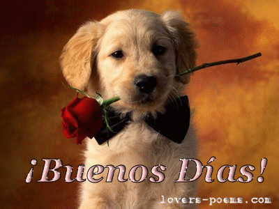 ▷ Imágenes románticas de buenos días