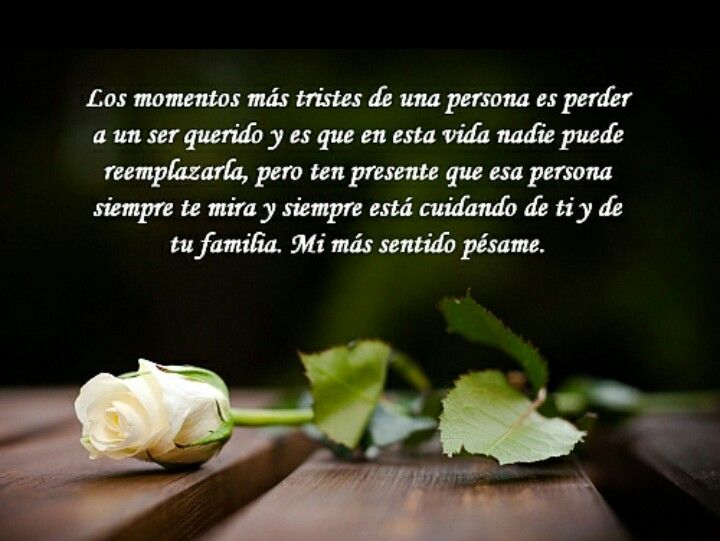 ▷ Imágenes rosas blancas para luto