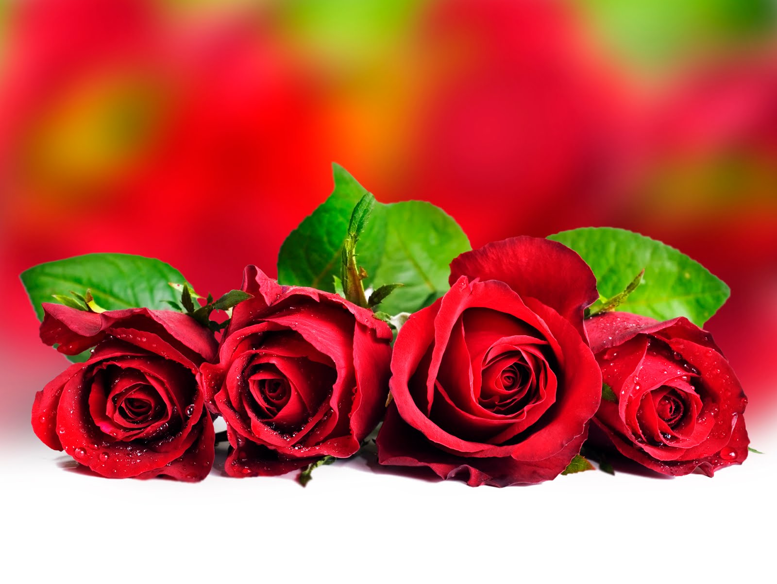 rosas para para los enamorados 3