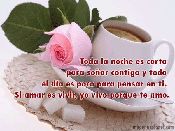 imágenes rosas para los enamorados