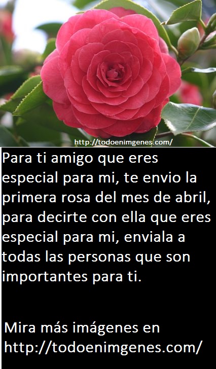 b95aa9387402e66ac03bf851af46e9d6