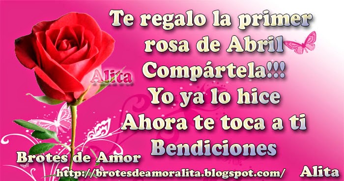 primer rosa abril