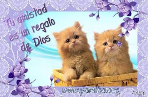 ▷ Imágenes tu amistad es un regalo de Dios