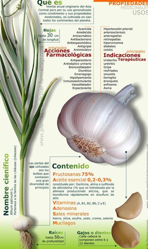 los-beneficios-del-ajo-remedios-caseros-2