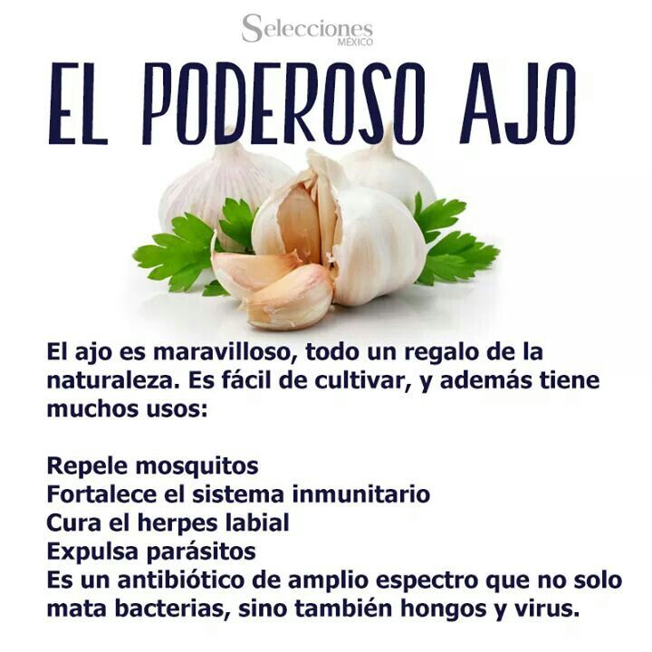 ▷ Imágenes y los beneficios del ajo remedios caseros