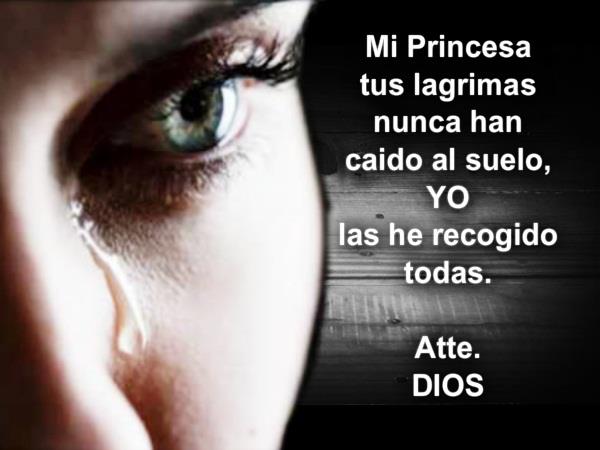 ▷ Lindas Imágenes con frases para levantar el ánimo a una mujer