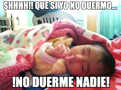 ▷ Memes chistosos para niños