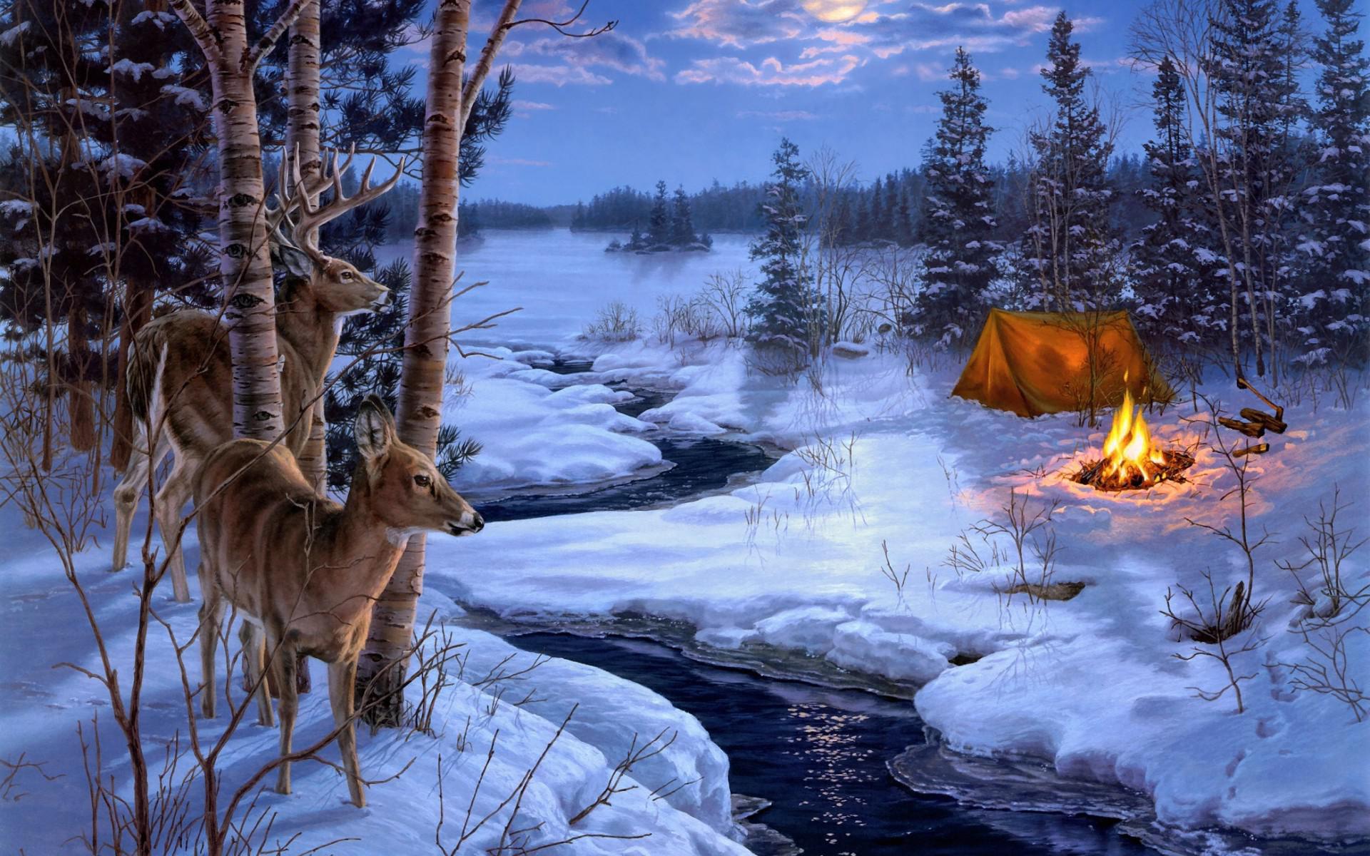 darrell-bush-moon-shadows-painting-winter-snow-animals-deer-for-desktop