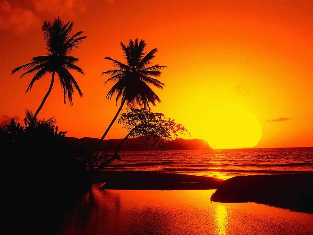 wallpaper-sunser-beach-emc-2007-jpg