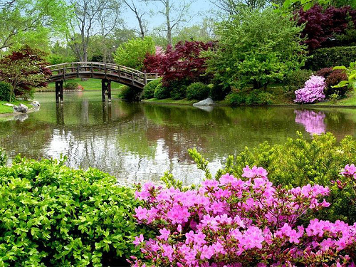 jardin-secreto-flores