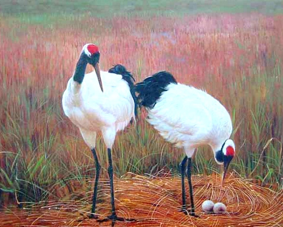 paisajes-con-pajaros-al-oleo