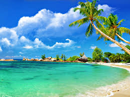 ▷ Paisajes en la playa