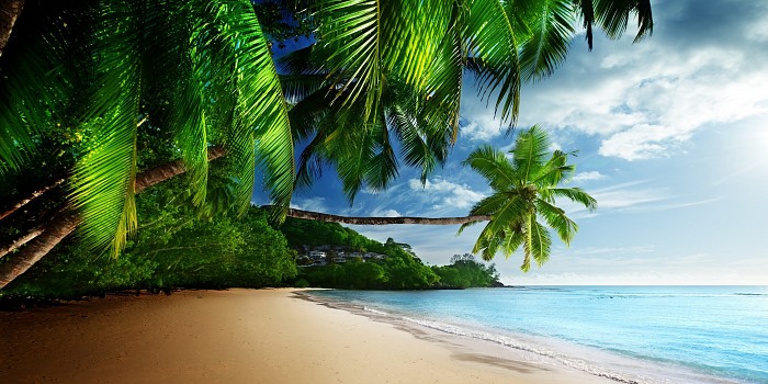 ▷ Paisajes en la playa