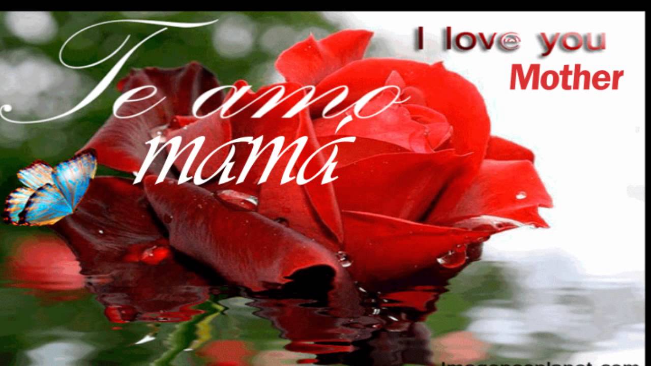 te amo madre