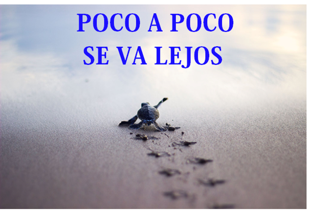 POCO A POCO SE VA LEJOS