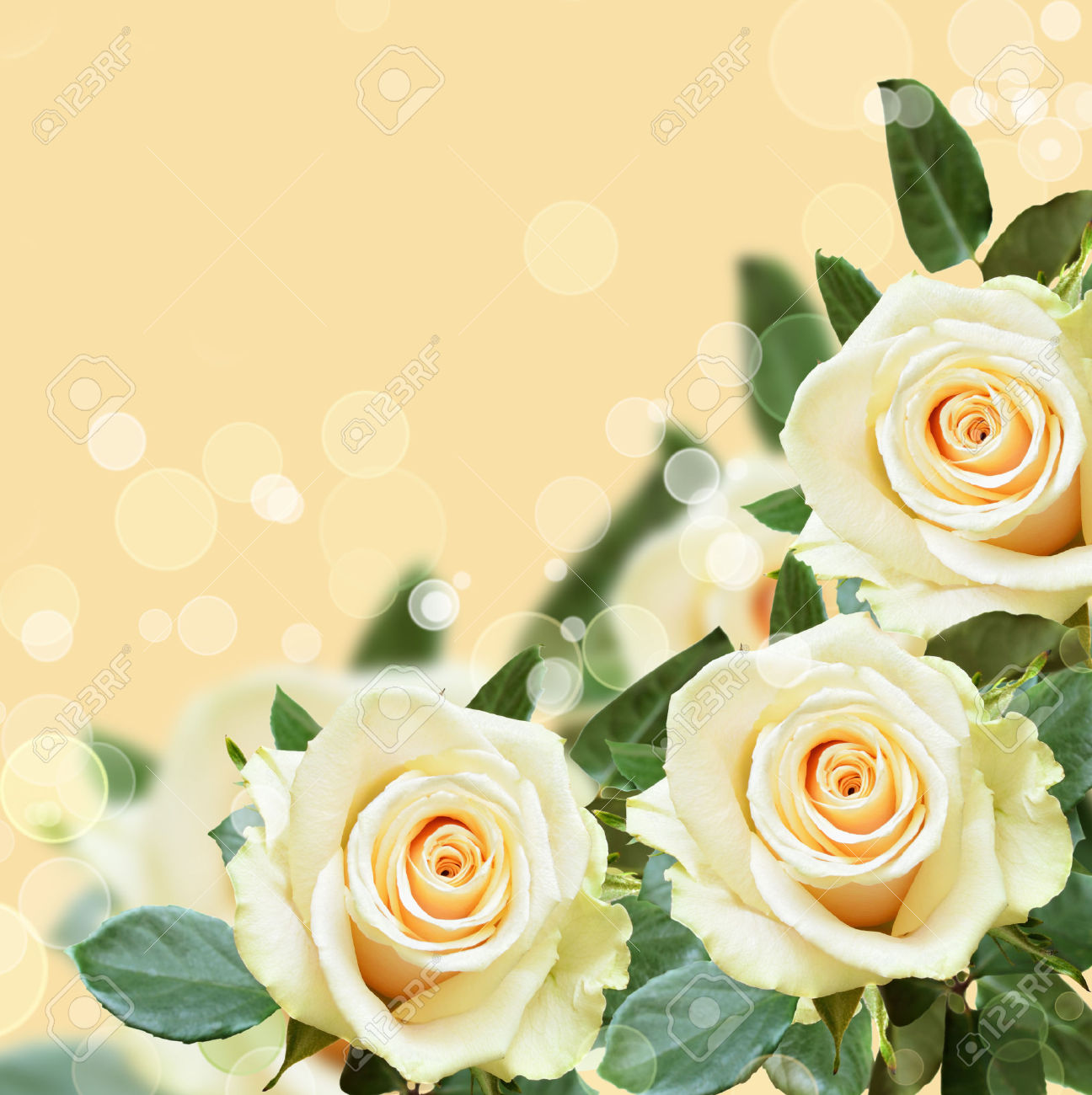 Tarjetas con flores para editar gratis