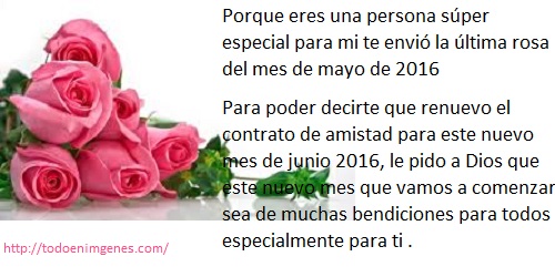 La ultima rosa del mes de mayo especialmente para ti