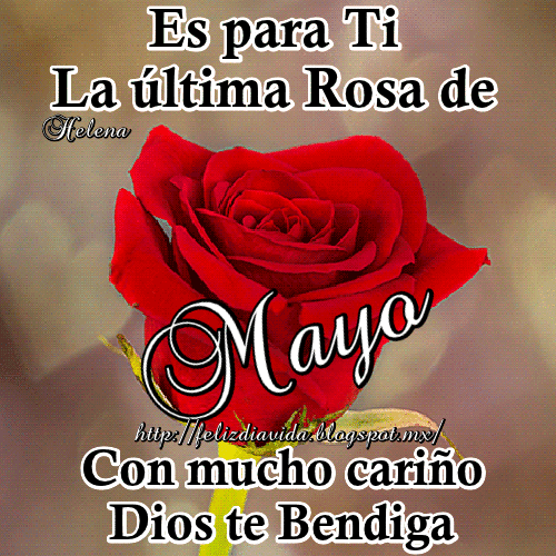 L ultima rosa de mayo