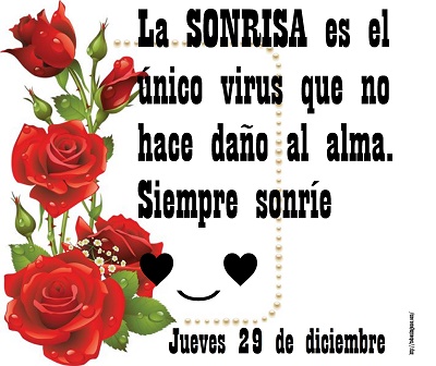 ▷ Últimos días del 2016 feliz año para todos